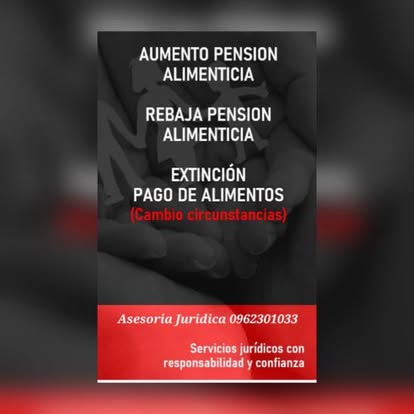 Aumento / rebaja de pensión — Cambio de circunstancias